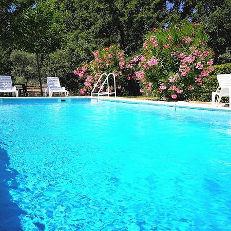 Au Bien Etre Piscine Chauffee Hotel Villecroze Buitenkant foto
